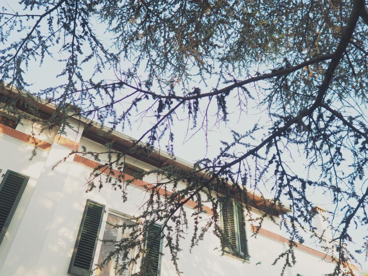 Colli del Tronto Villa Monti المظهر الخارجي الصورة